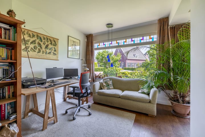 Photo 14 of Lupine 13