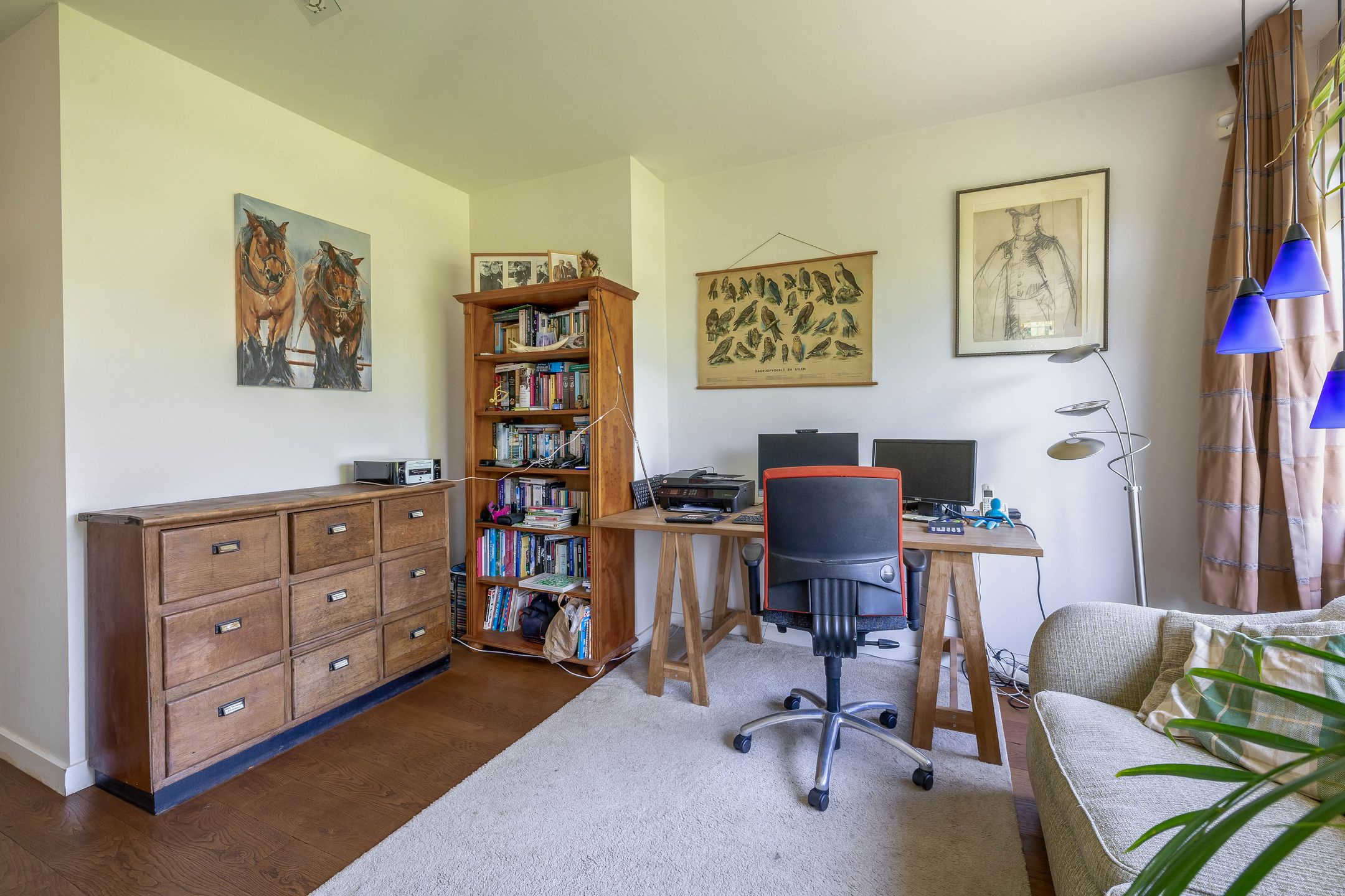 Foto 15 van Lupine 13