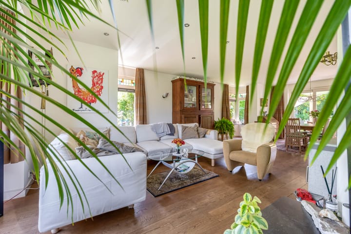 Photo 16 of Lupine 13