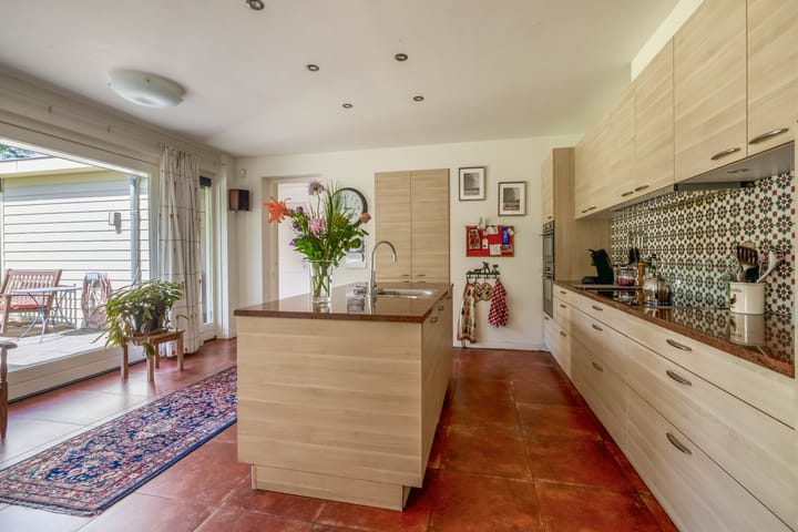 Photo 19 of Lupine 13