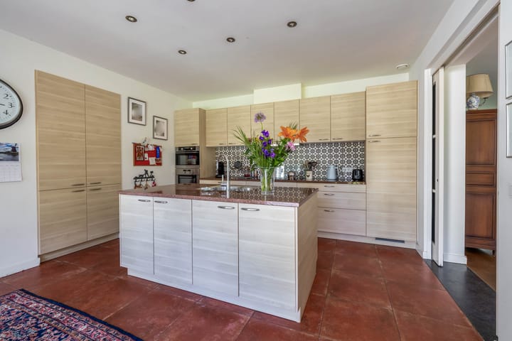 Photo 20 of Lupine 13