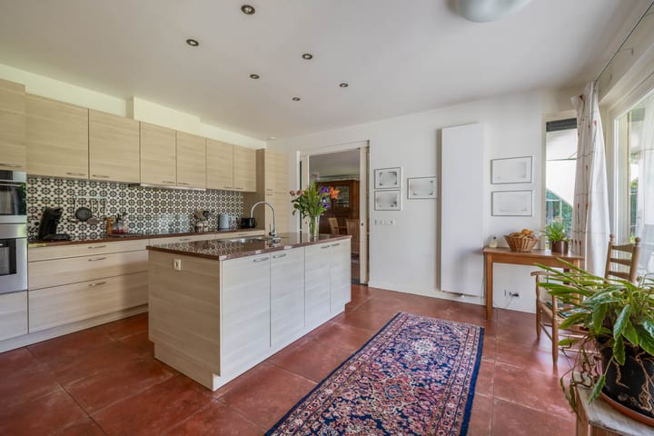 Photo 21 of Lupine 13