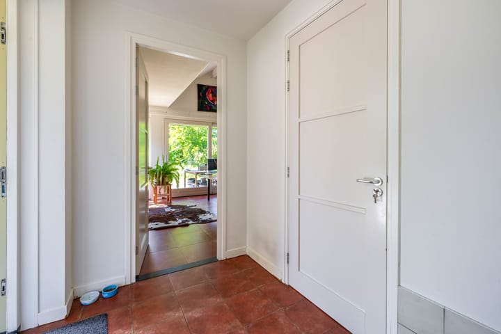 Photo 24 of Lupine 13