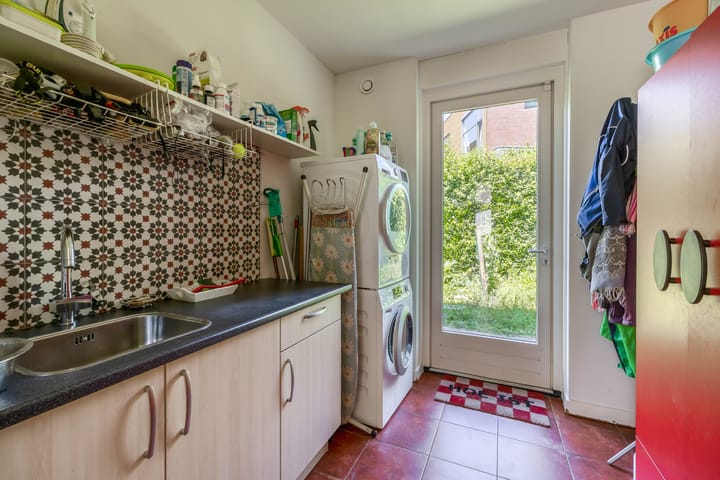 Photo 25 of Lupine 13