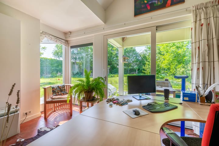 Photo 27 of Lupine 13