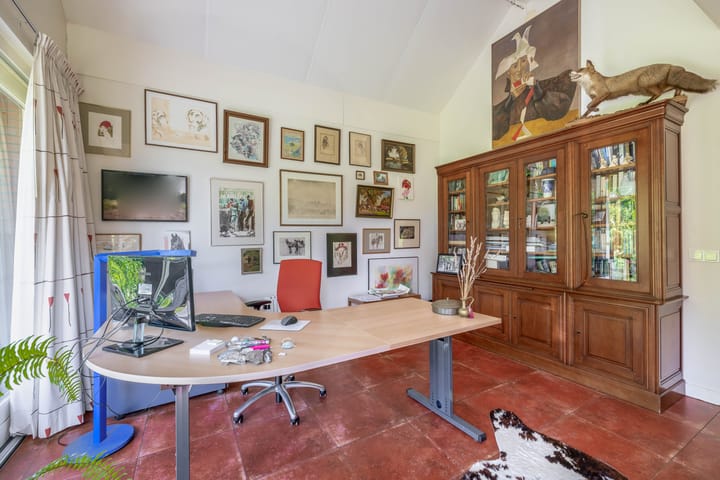 Photo 28 of Lupine 13