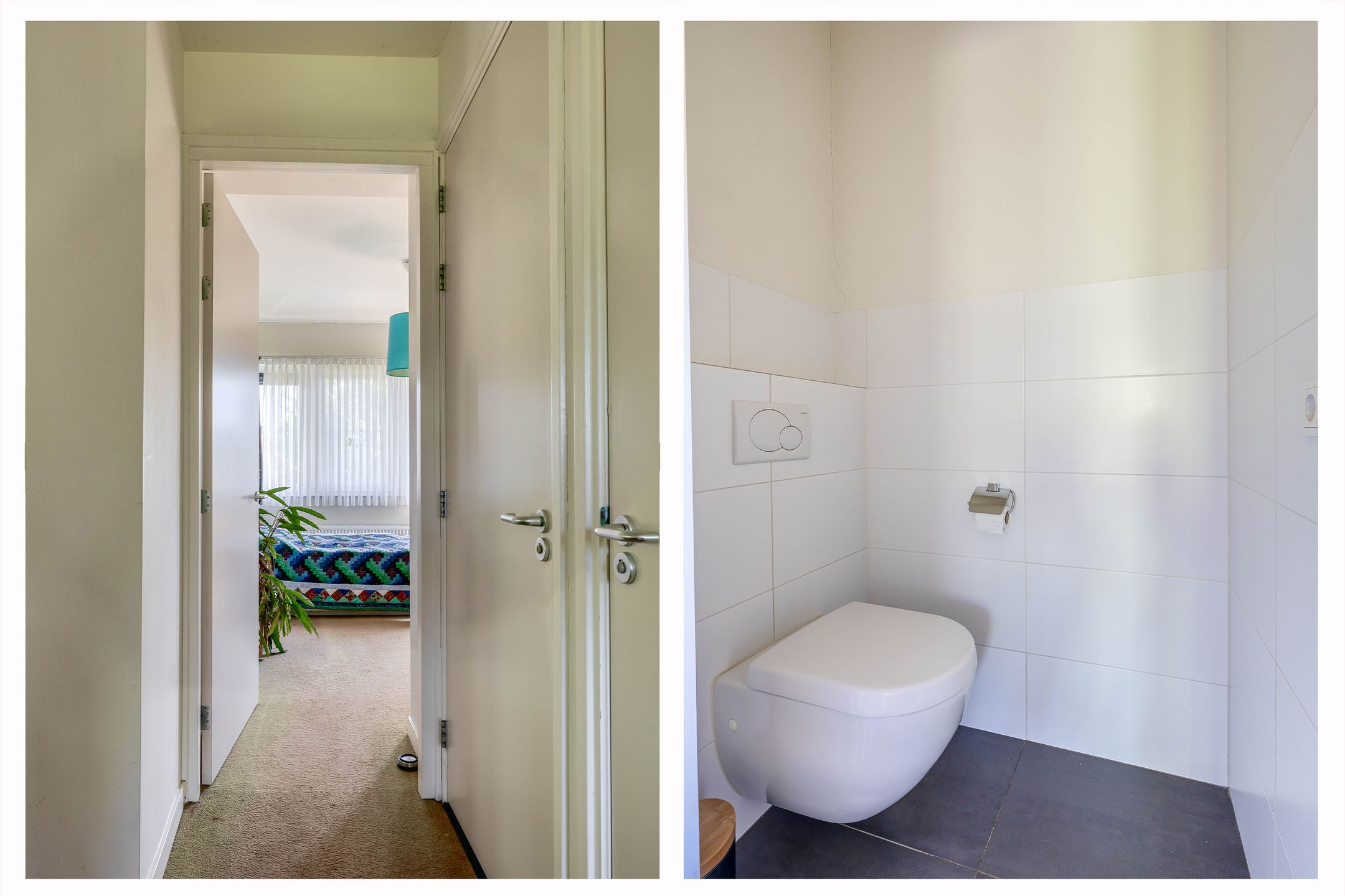 Foto 30 van Lupine 13