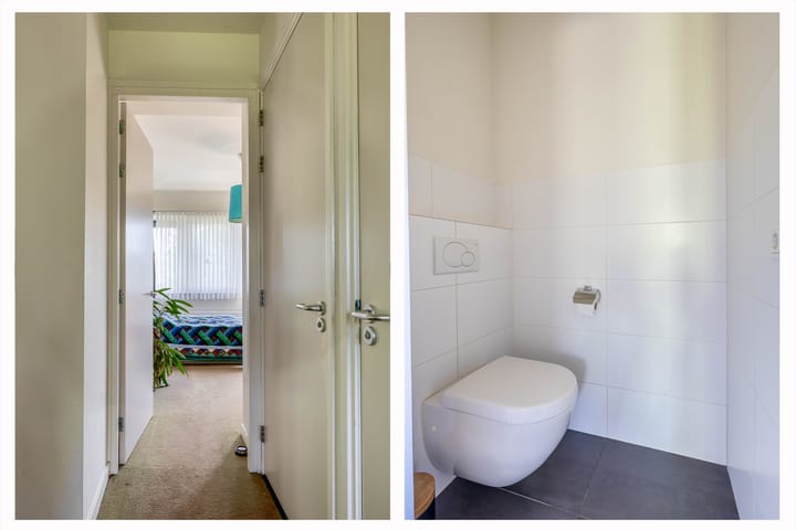 Photo 30 of Lupine 13