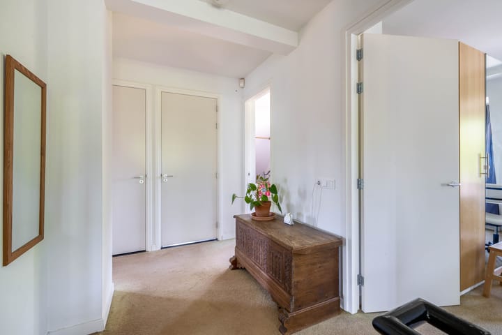 Photo 31 of Lupine 13