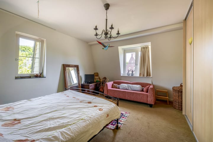 Photo 32 of Lupine 13