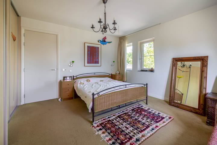 Photo 33 of Lupine 13