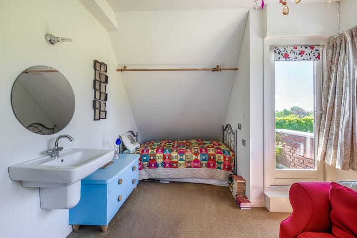 Photo 34 of Lupine 13