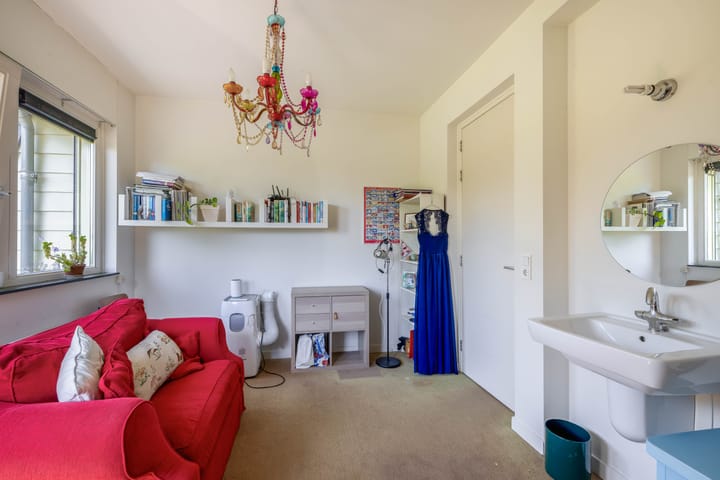 Photo 35 of Lupine 13