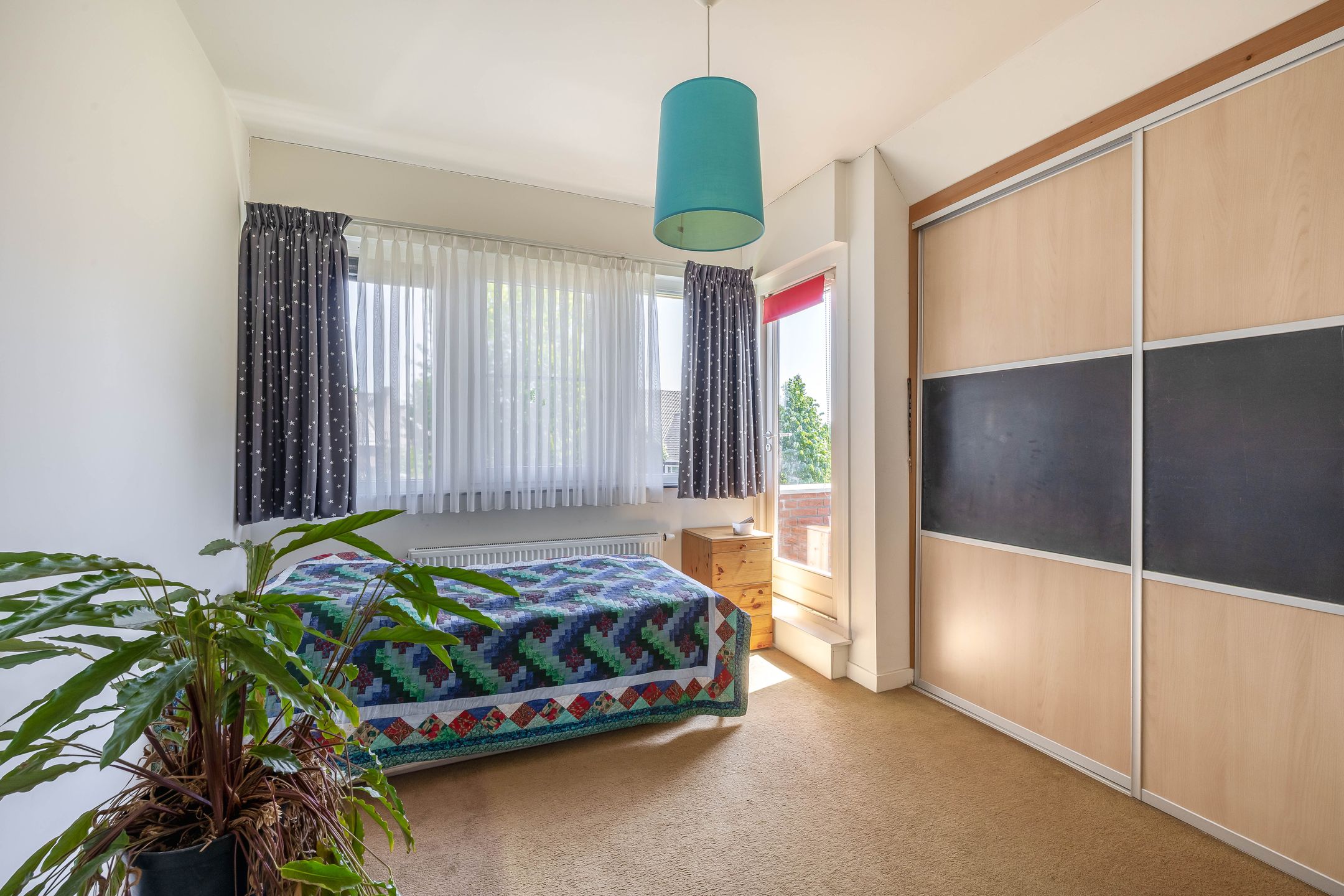 Foto 36 van Lupine 13