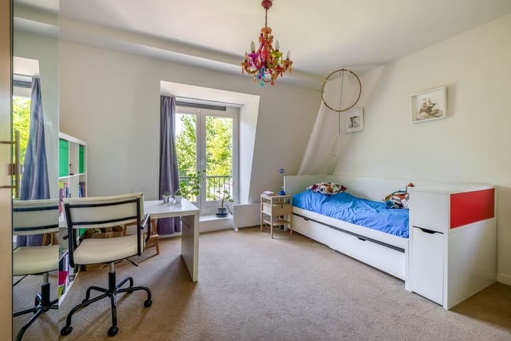 Photo 38 of Lupine 13