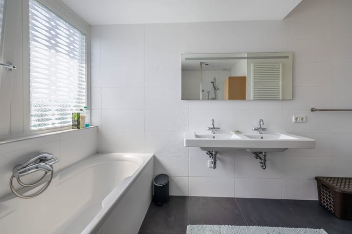 Photo 41 of Lupine 13