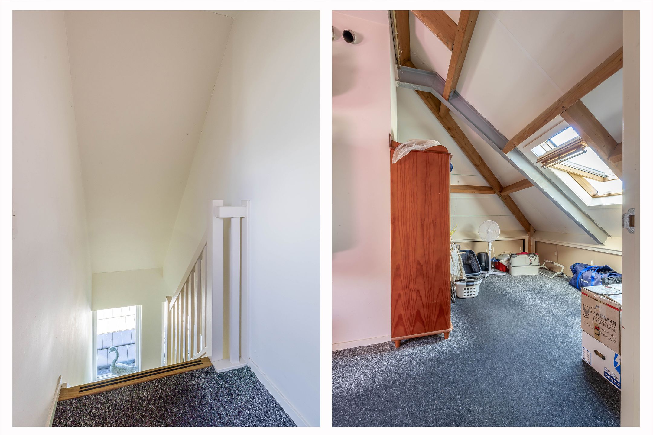 Foto 42 van Lupine 13