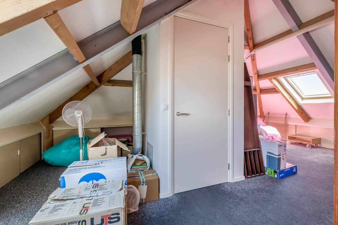 Foto 43 van Lupine 13