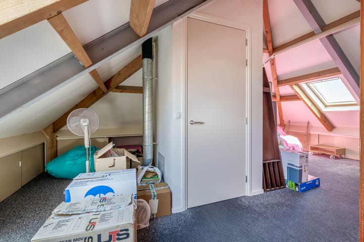 Photo 43 of Lupine 13