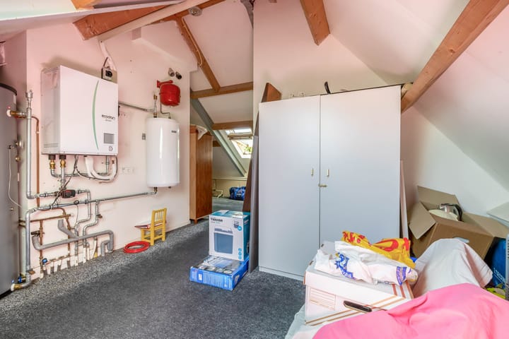 Photo 44 of Lupine 13