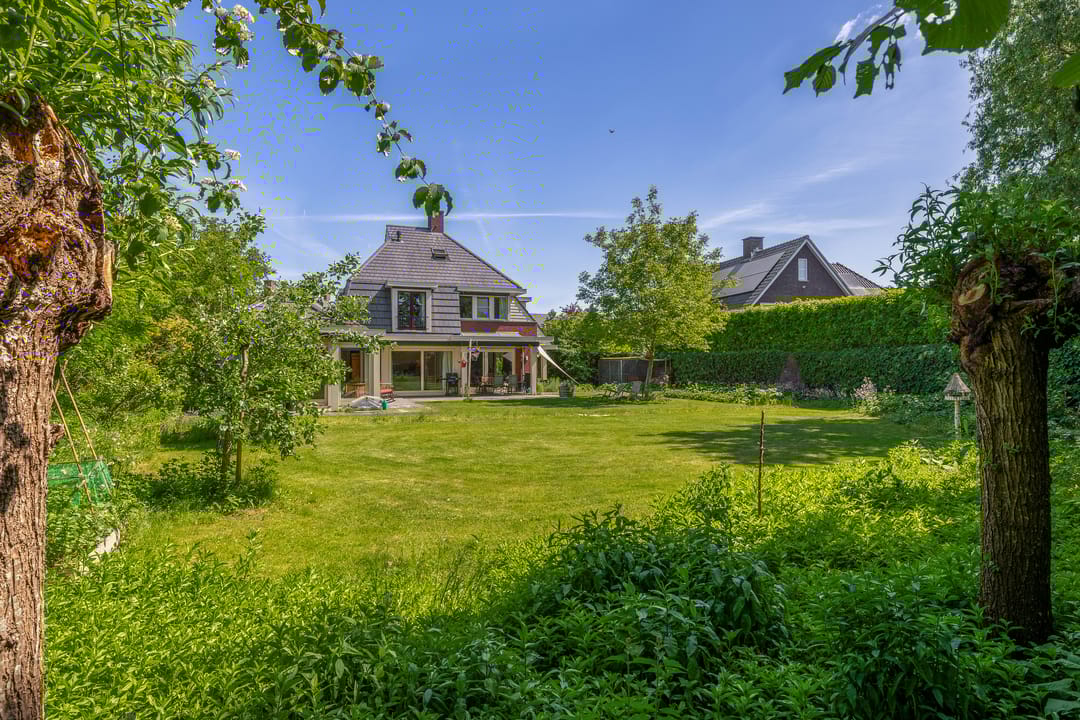 Foto 46 van Lupine 13