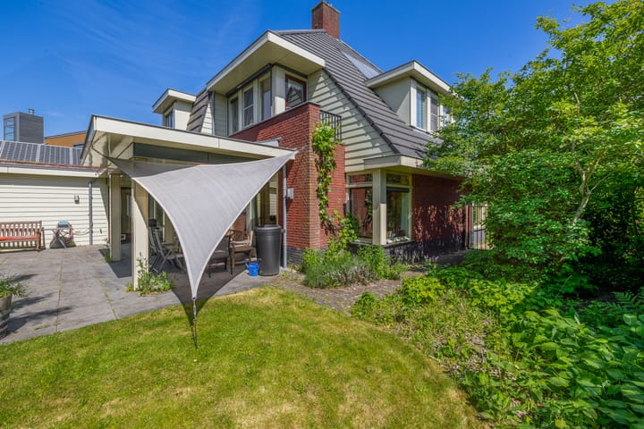 Photo 47 of Lupine 13