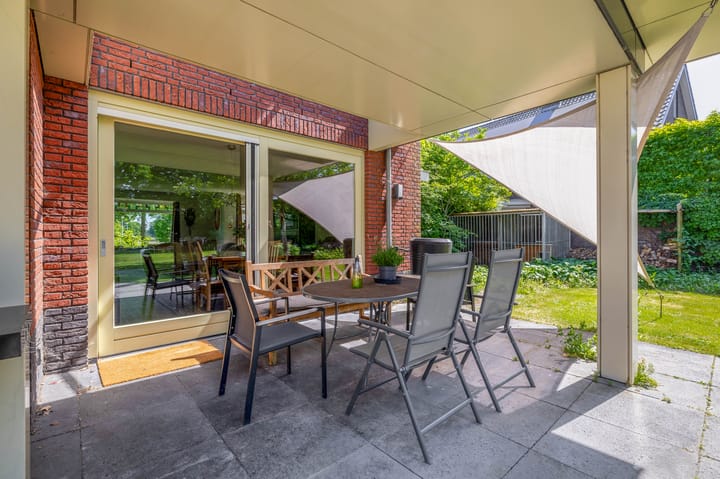 Photo 48 of Lupine 13