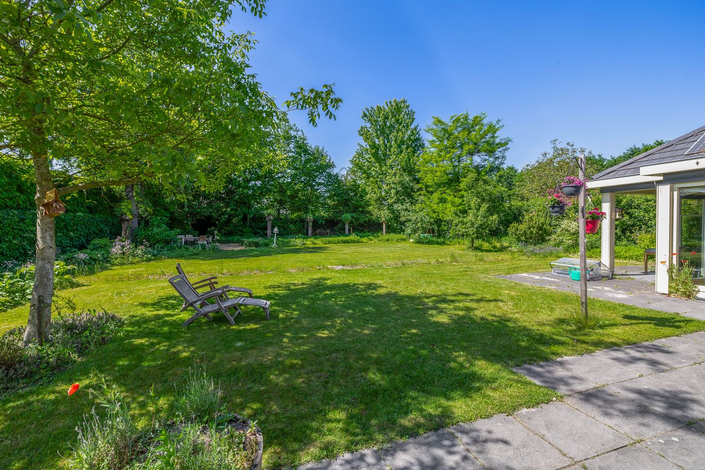 Foto 50 van Lupine 13