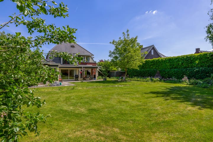 Photo 51 of Lupine 13