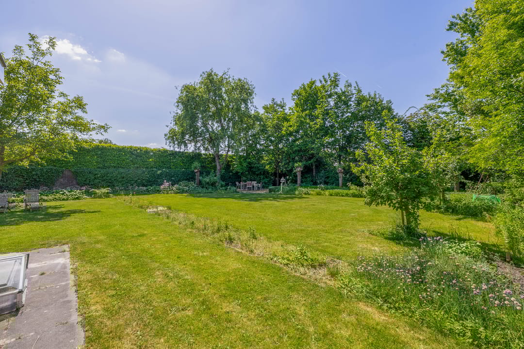 Foto 52 van Lupine 13