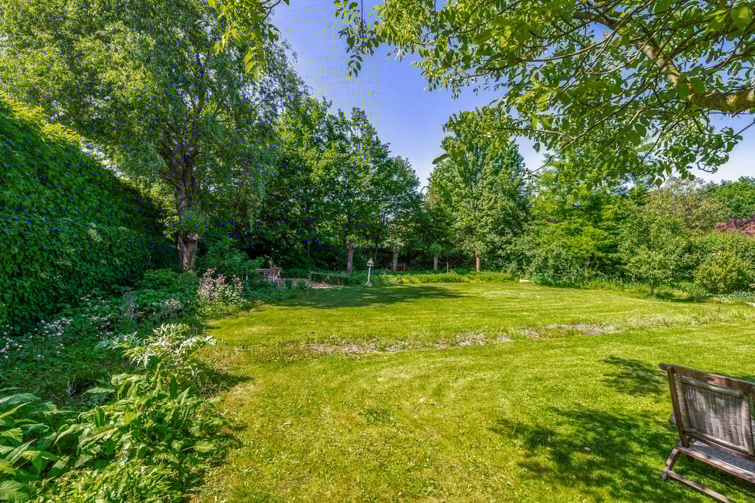 Foto 53 van Lupine 13