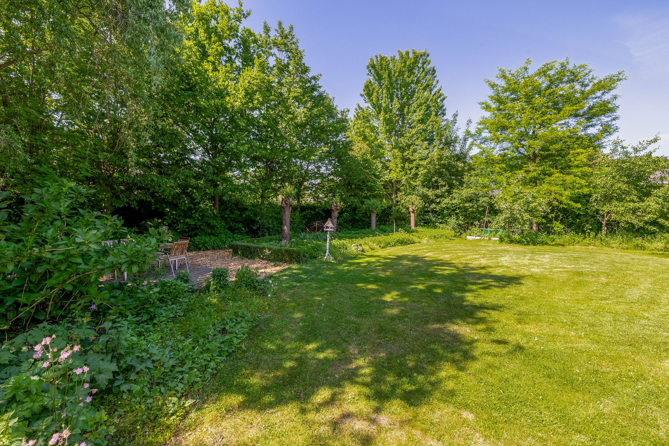 Foto 54 van Lupine 13