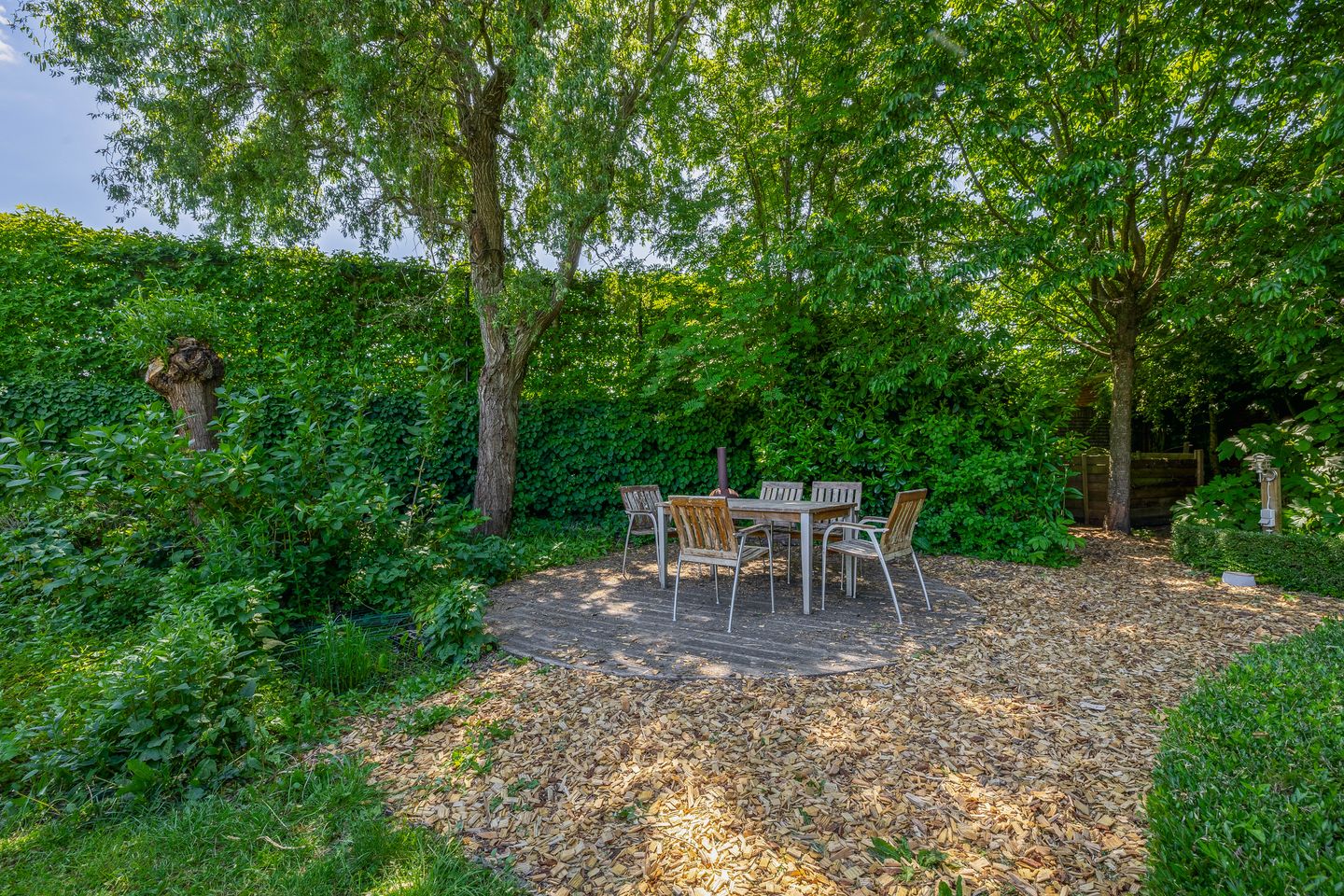 Foto 55 van Lupine 13