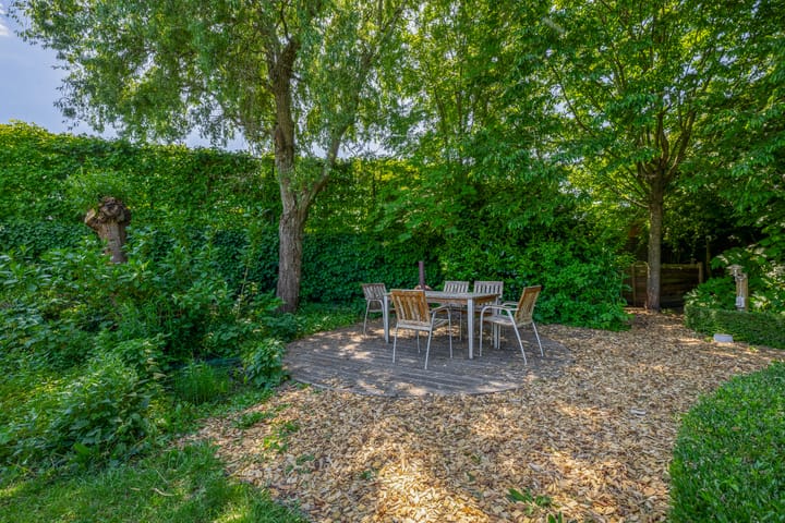 Photo 55 of Lupine 13