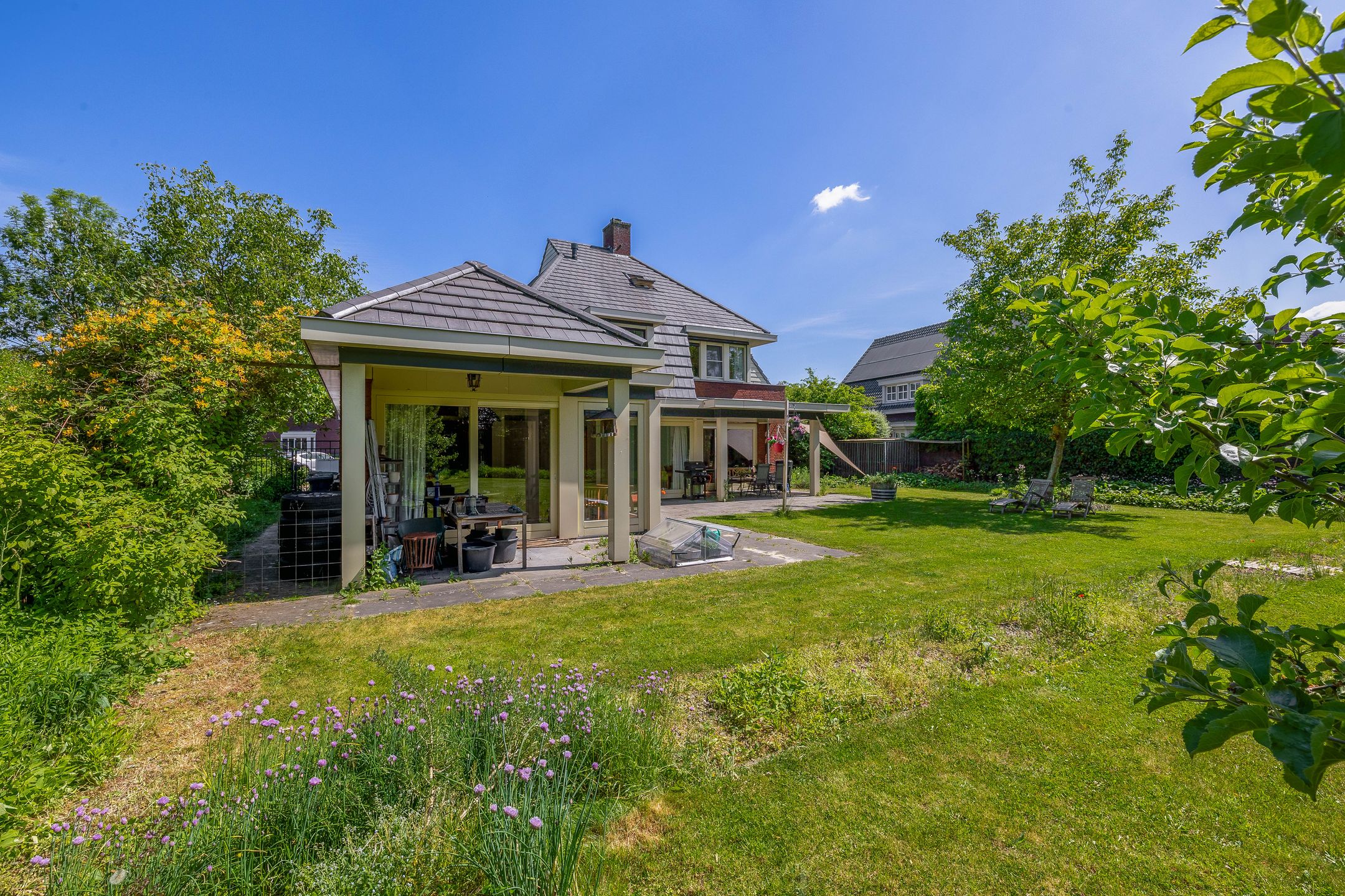 Foto 57 van Lupine 13