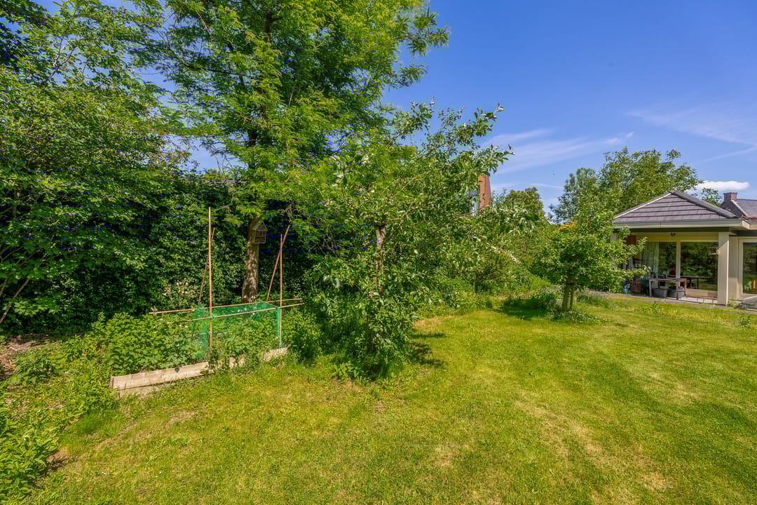 Foto 58 van Lupine 13