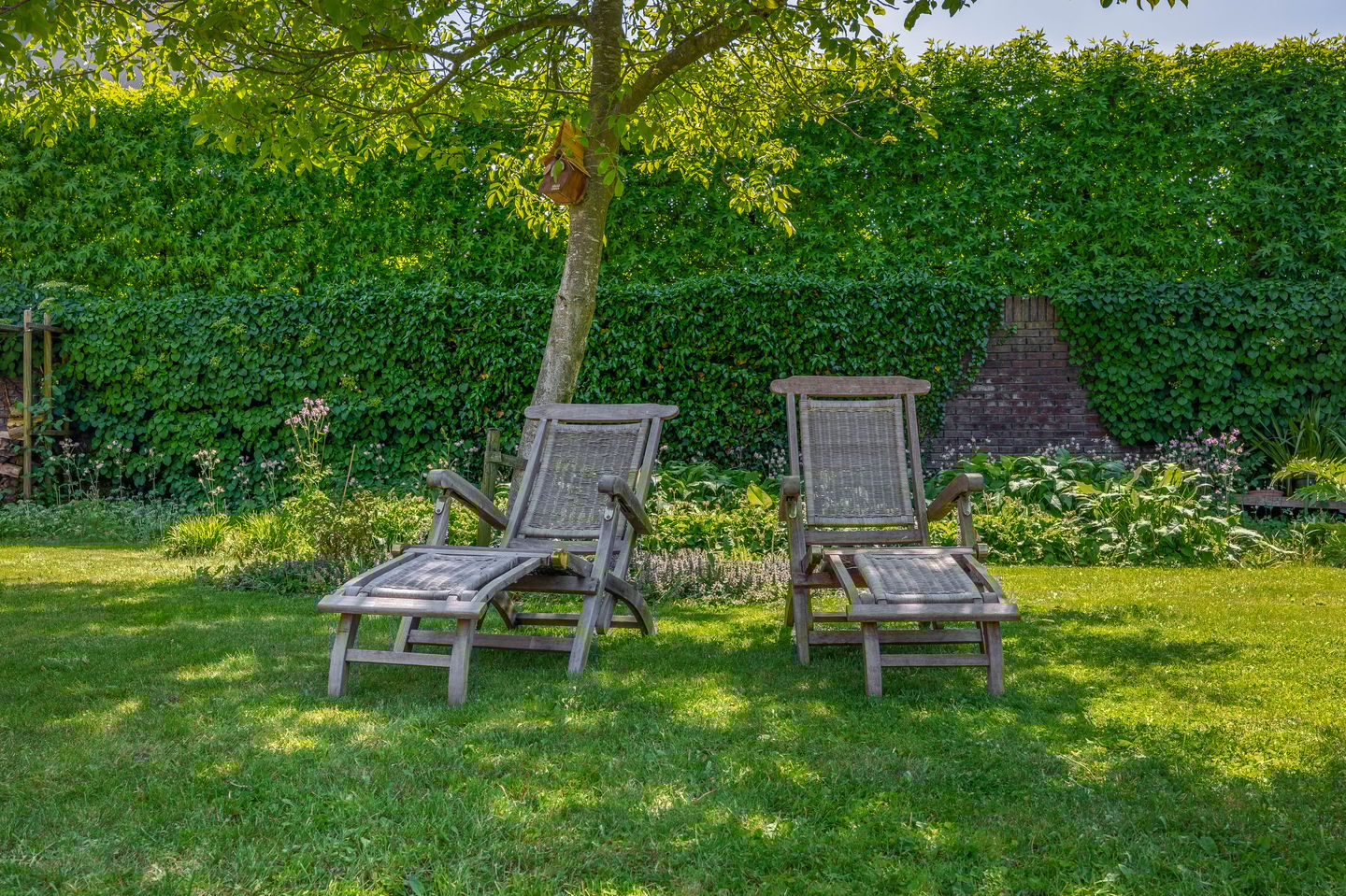 Foto 59 van Lupine 13