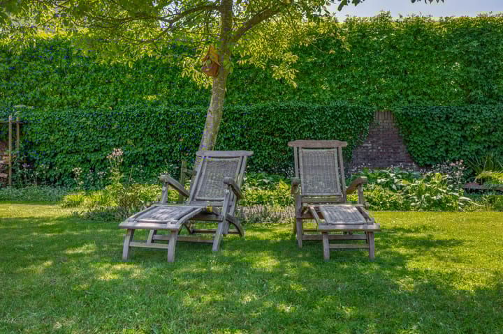 Photo 59 of Lupine 13