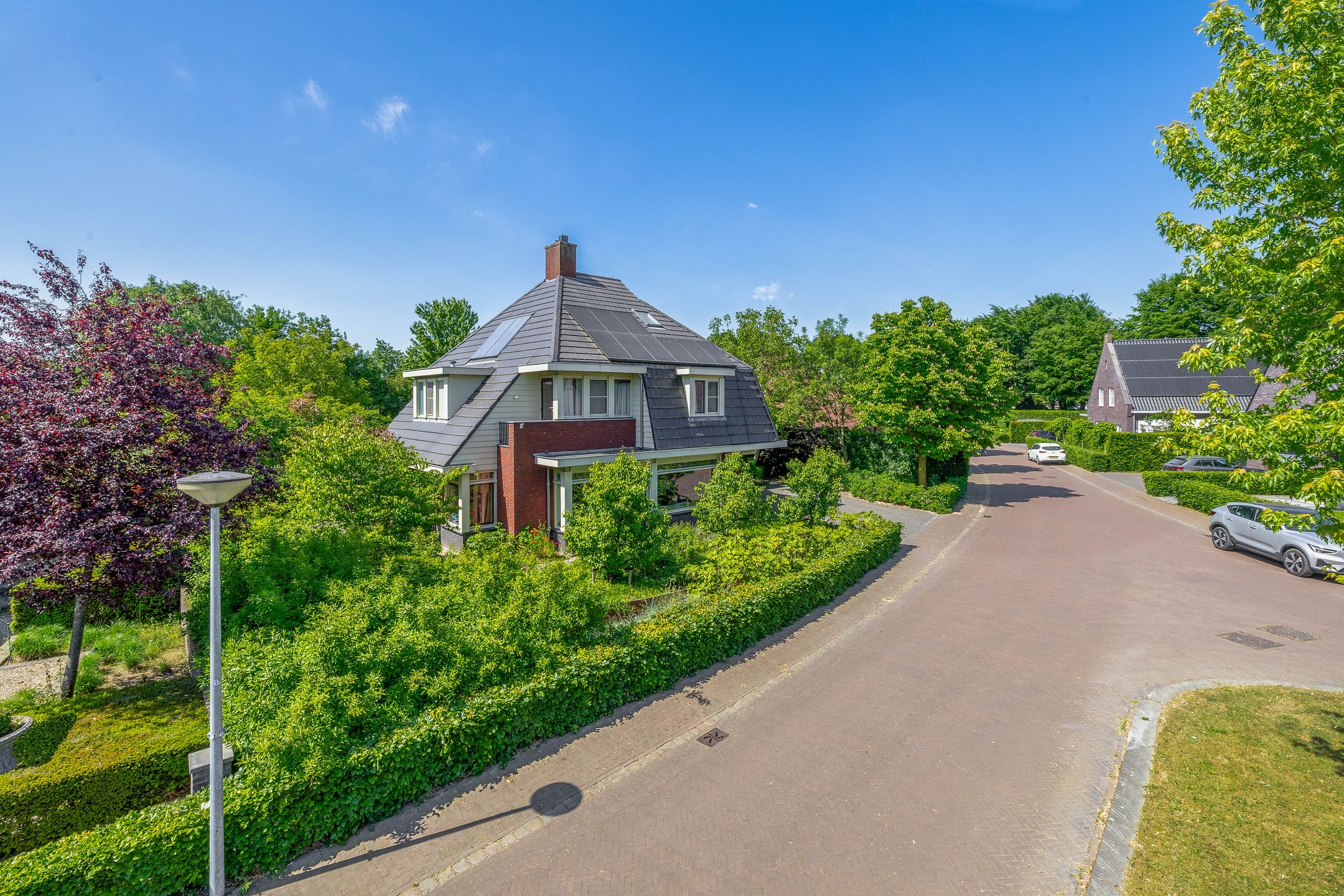 Foto 63 van Lupine 13