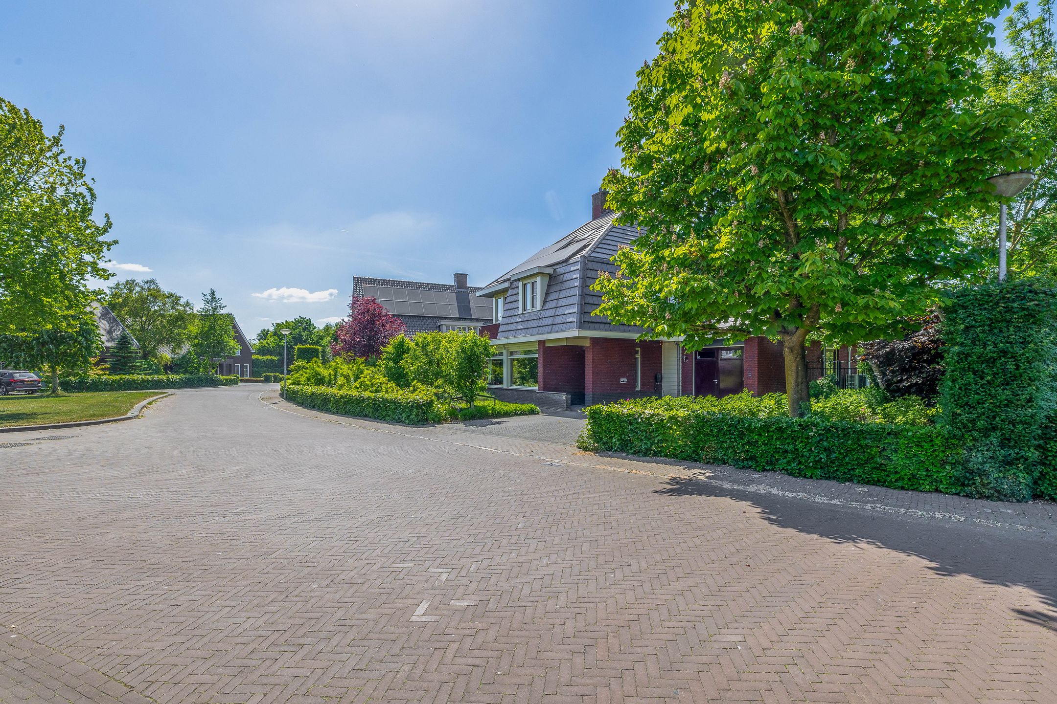 Foto 66 van Lupine 13