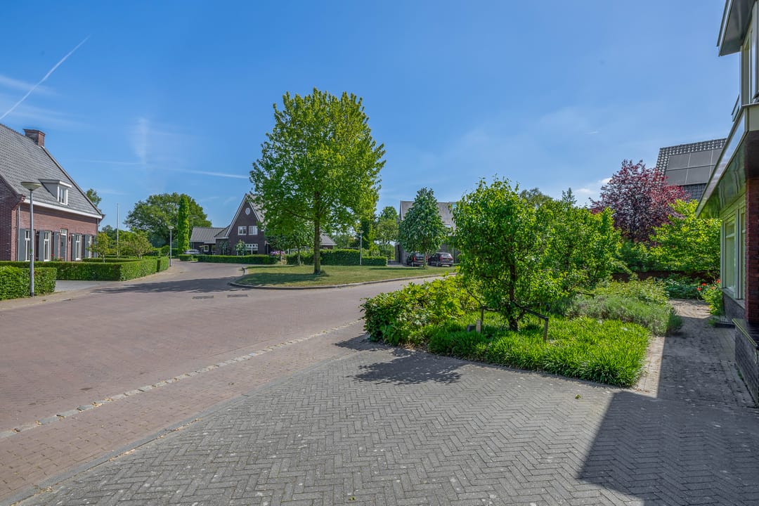 Foto 67 van Lupine 13