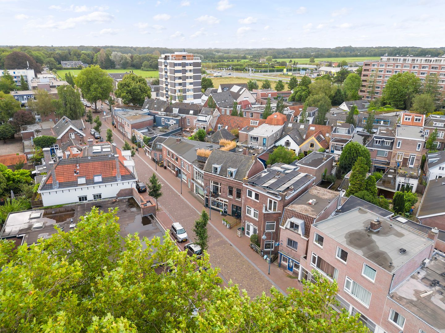 Foto 25 van Burgemeester De Withstraat 13