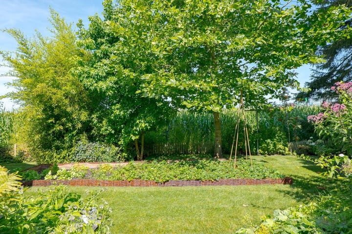 Foto 58 van Zuiderdiep 69-D