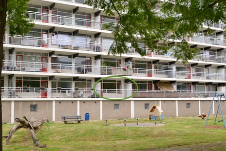 undefined main image