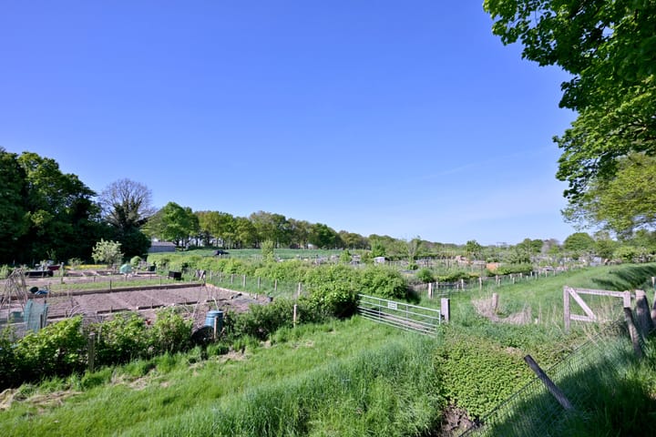 Foto 3 van Dahliastraat 26