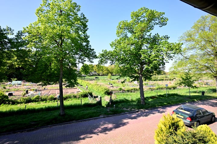 Foto 21 van Dahliastraat 26