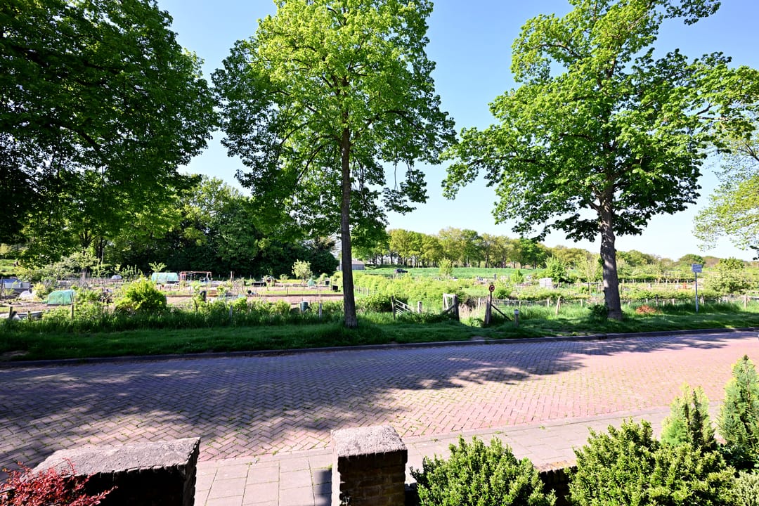 Foto 28 van Dahliastraat 26