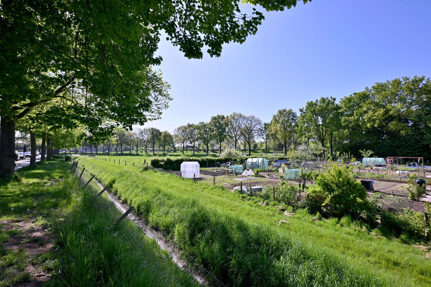 Foto 29 van Dahliastraat 26