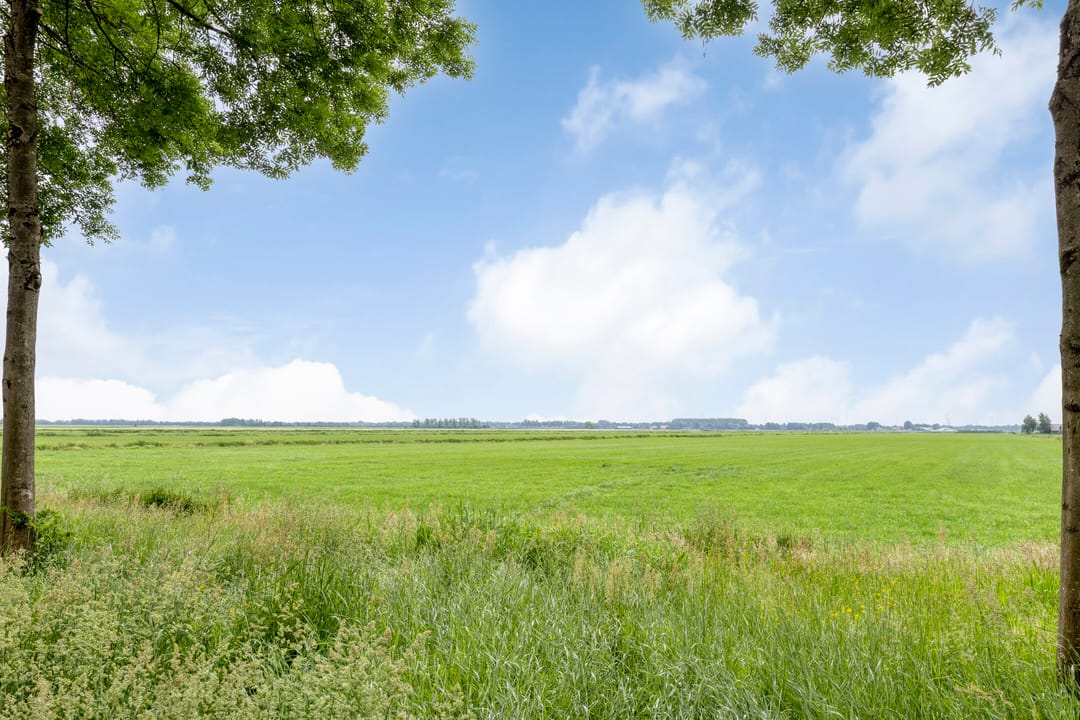 Foto 41 van Zuiderdiep 10