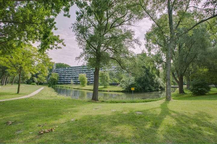 Foto 20 van Laveibos 157